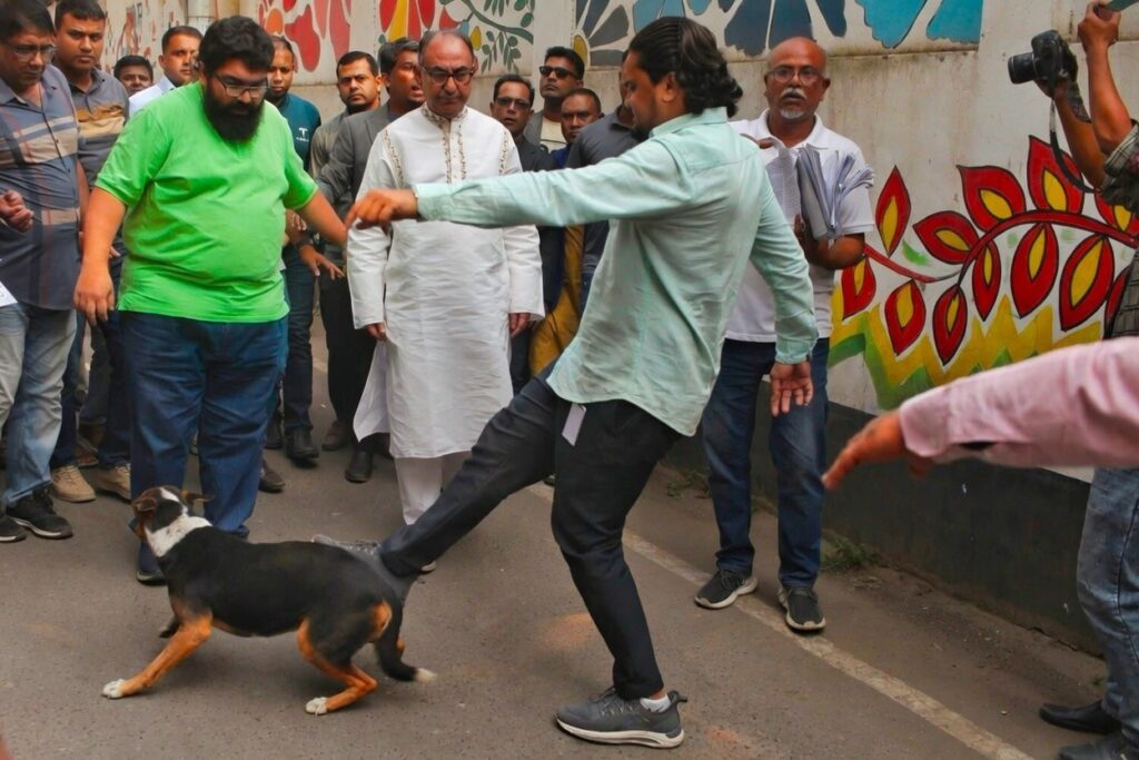 ঢাকা-৮ আসনে নির্বাচনী প্রচারণায় কুকুরকে লাথি মারার ঘটনা: সামাজিক মাধ্যমে তীব্র সমালোচনার ঝড়