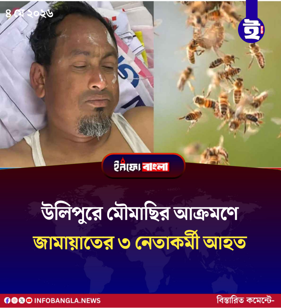 উলিপুরে মৌমাছির আক্রমণে জামায়াতের ৩ নেতাকর্মী আহত