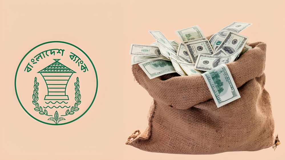 ২০ বিলিয়ন ডলারের পরিসংখ্যানগত গরমিল: বাংলাদেশ ব্যাংক ও বিবিএসের তথ্যে ফারাক নিয়ে প্রশ্ন