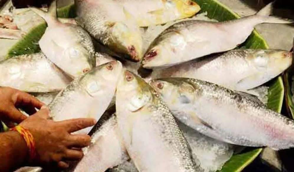 প্রথমবারের মতো বাংলাদেশে ইলিশ রপ্তানি করলো ভারত, গত ২ মাসে ৫০০ টন